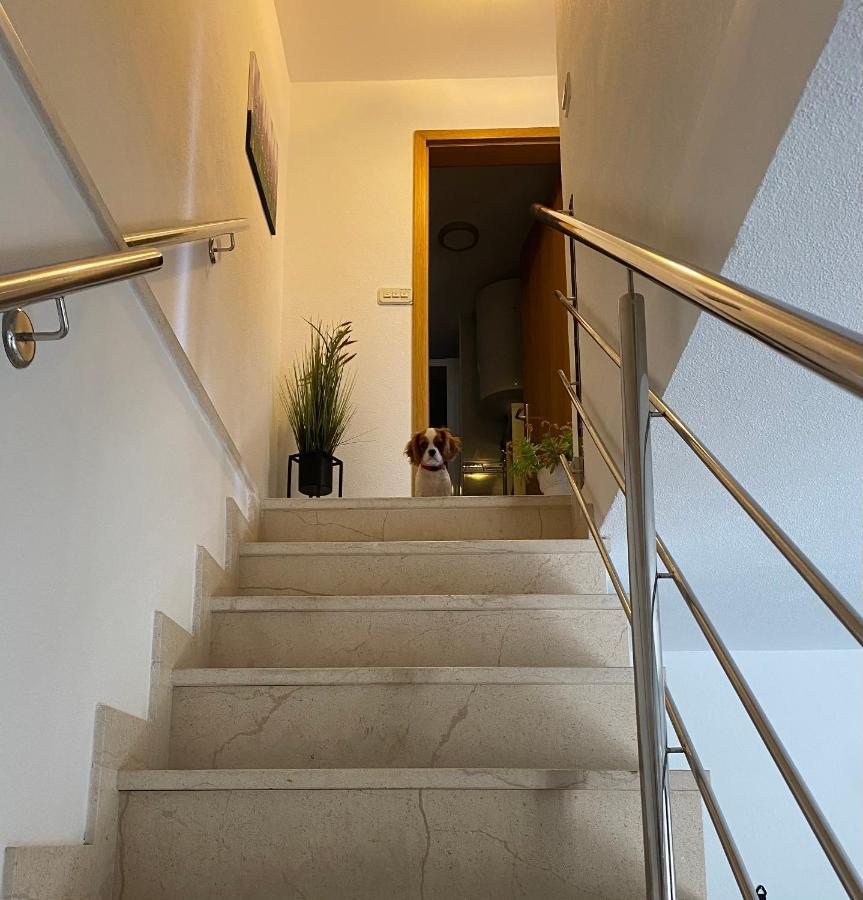 ספליט Mediterano Apartment - City Center מראה חיצוני תמונה